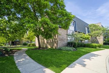 2009 Ammer Ridge Ct. #102, Glenview, IL 60025