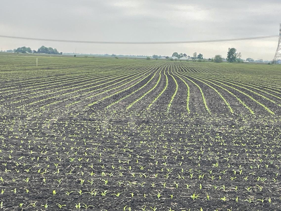 15781 Brisbin Rd., Minooka, IL 60447