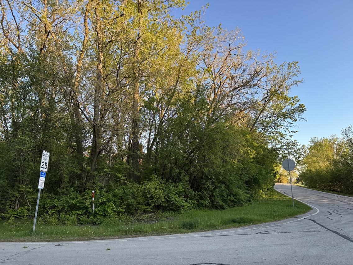 Lot 17 Lacey Ave., Naperville, IL 60563