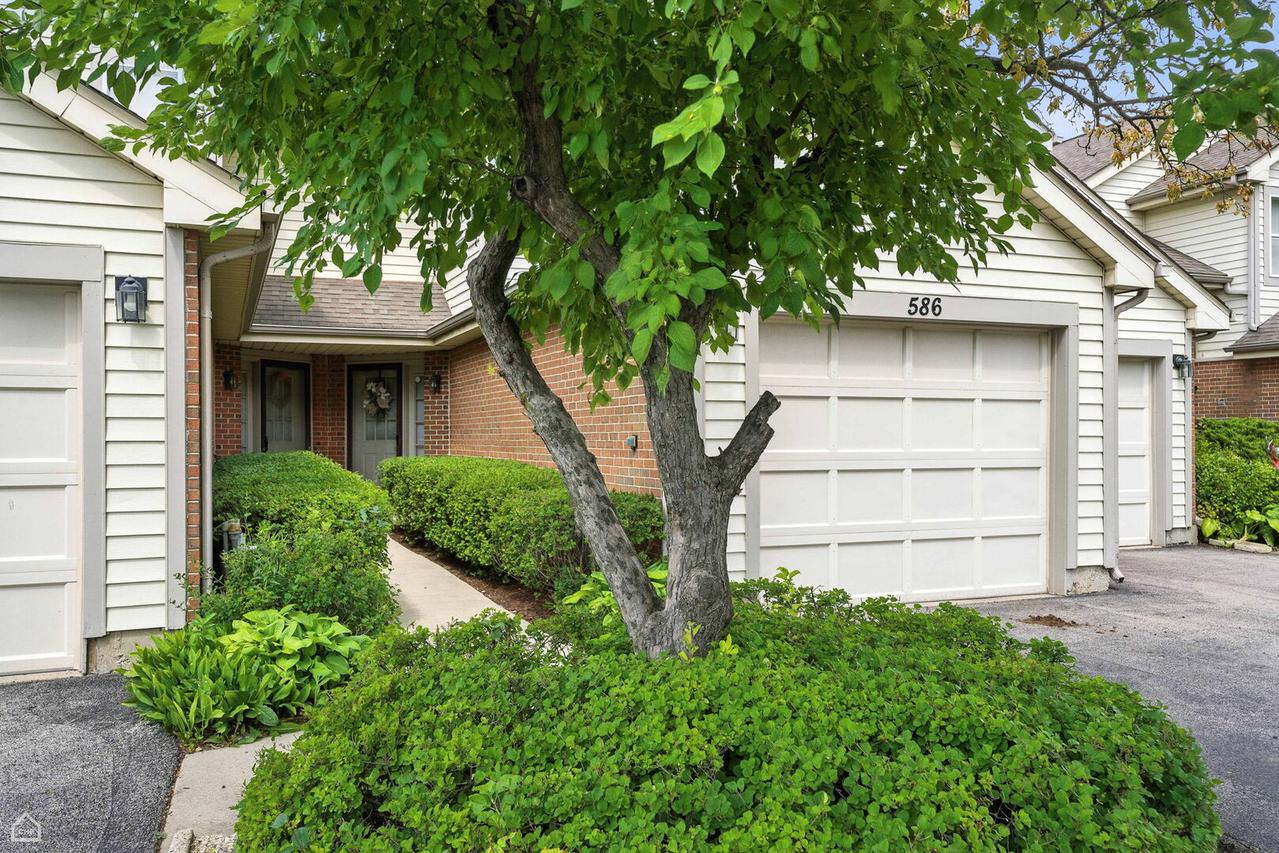 586 E Windgate Ct. #7D5, Arlington Heights, IL 60005