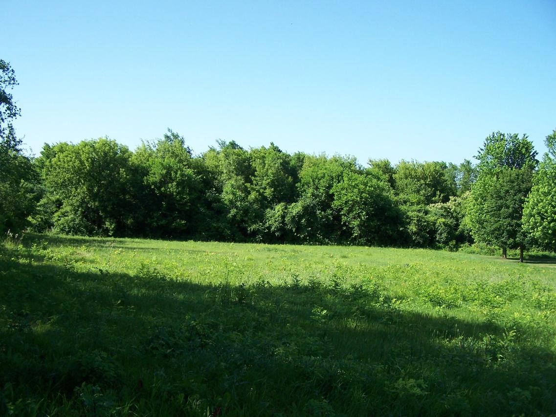 6109 Whiting Dr., Mchenry, IL 60050