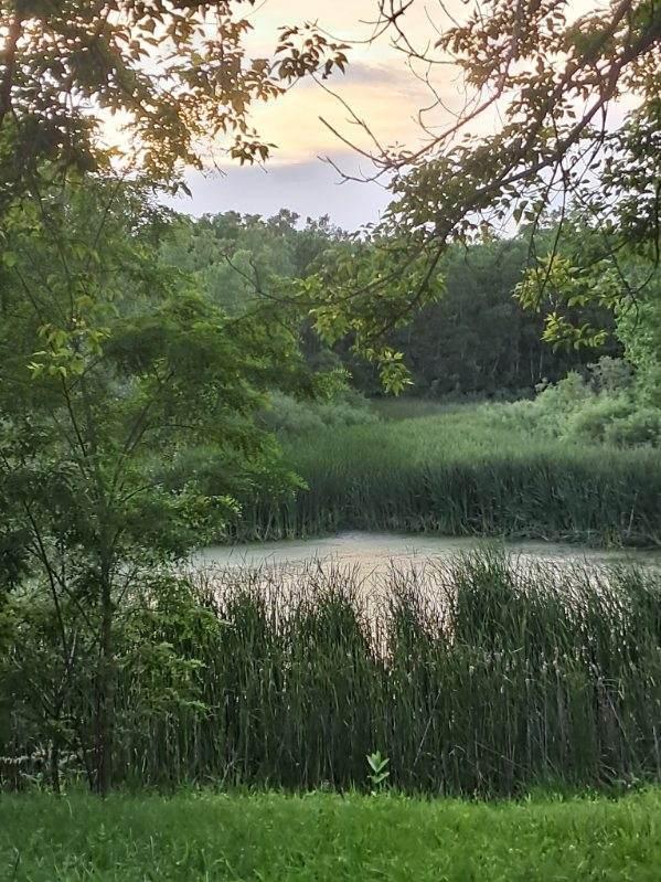 LOT 18 Orchard Valley Dr., Bull Valley, IL 60050