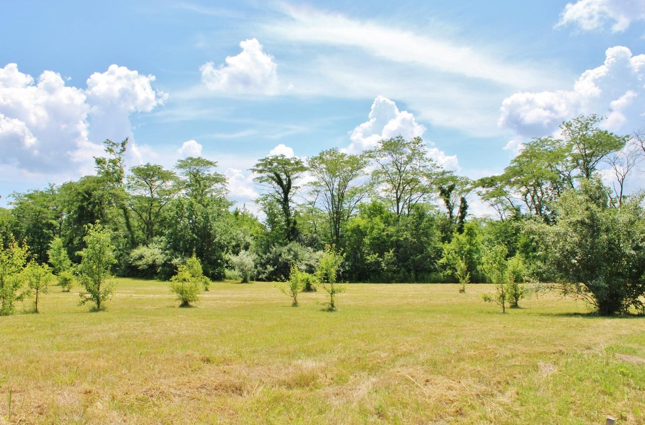 2304 Oakwood Ln., Marseilles, IL 61341