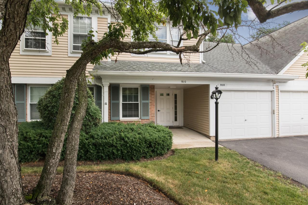 910 Persimmon Ln. #B, Mount Prospect, IL 60056