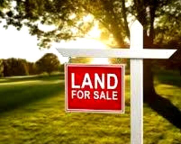 New Homes For Sale This Week That Attend Sheridan Elementary School: June 20th to June 26th