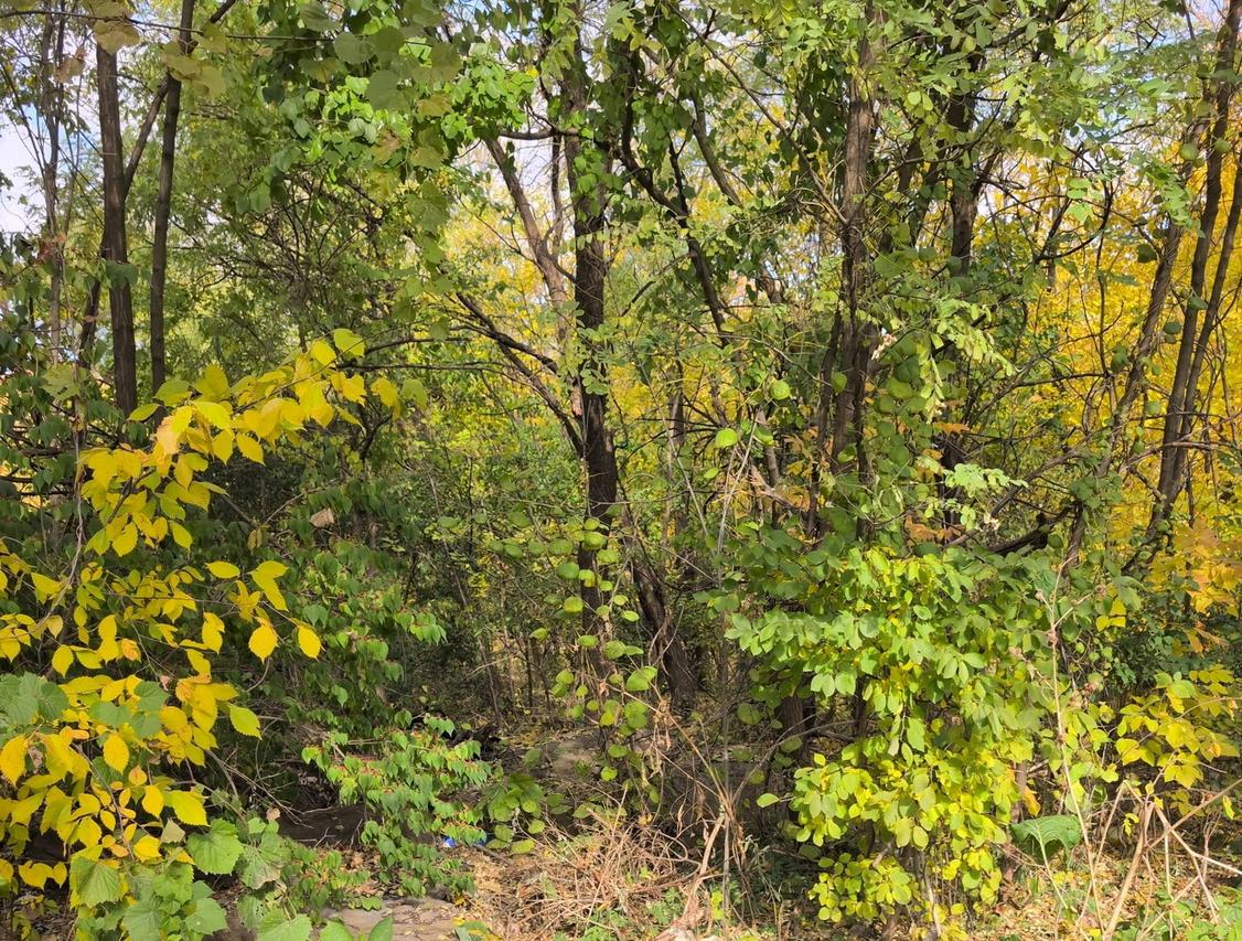 1213 W Park Front St., Joliet, IL 60436