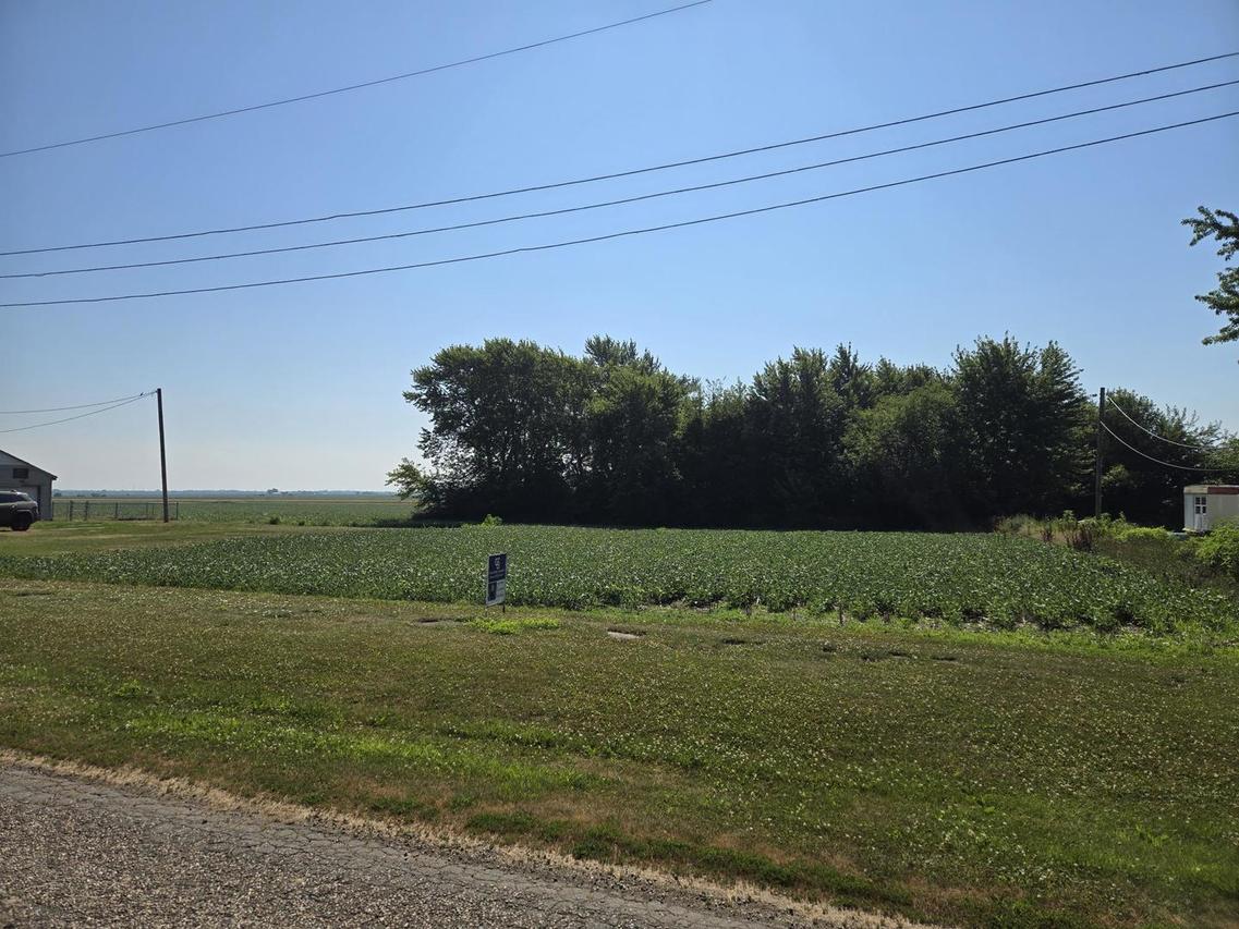 Lots 1-4 Catherine St., Ludlow, IL 60949