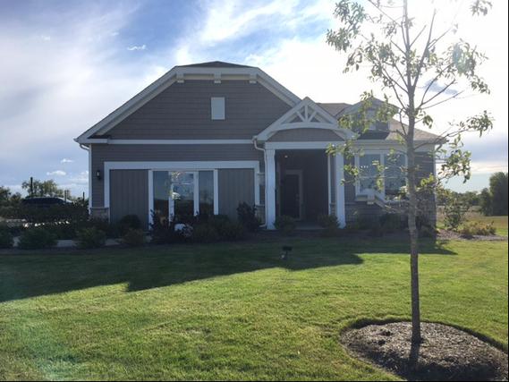 New Construction Homes For Sale This Week That Attend Grayslake North High School: June 25th to July 1st