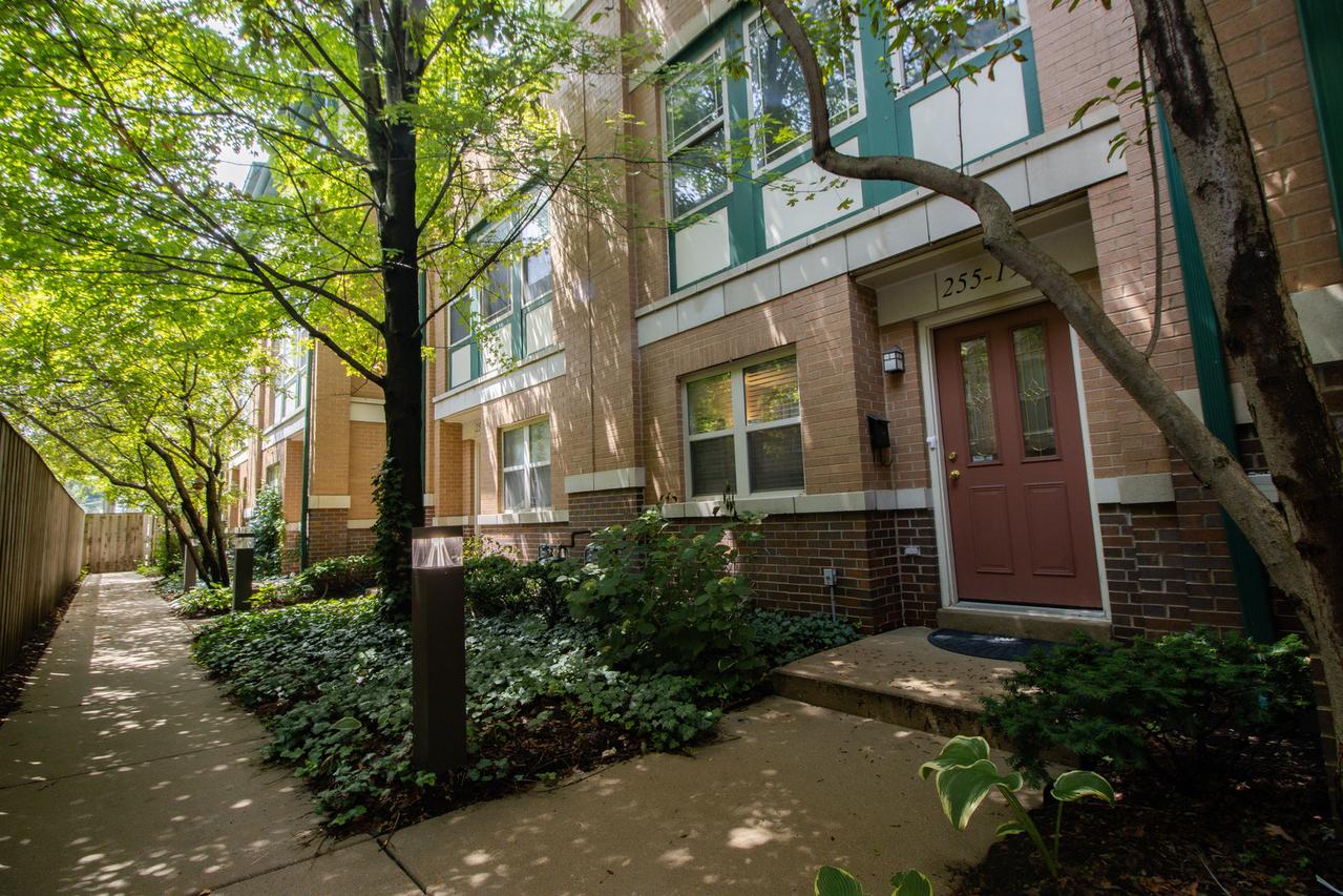 255 South Blvd. #19, Oak Park, IL 60302