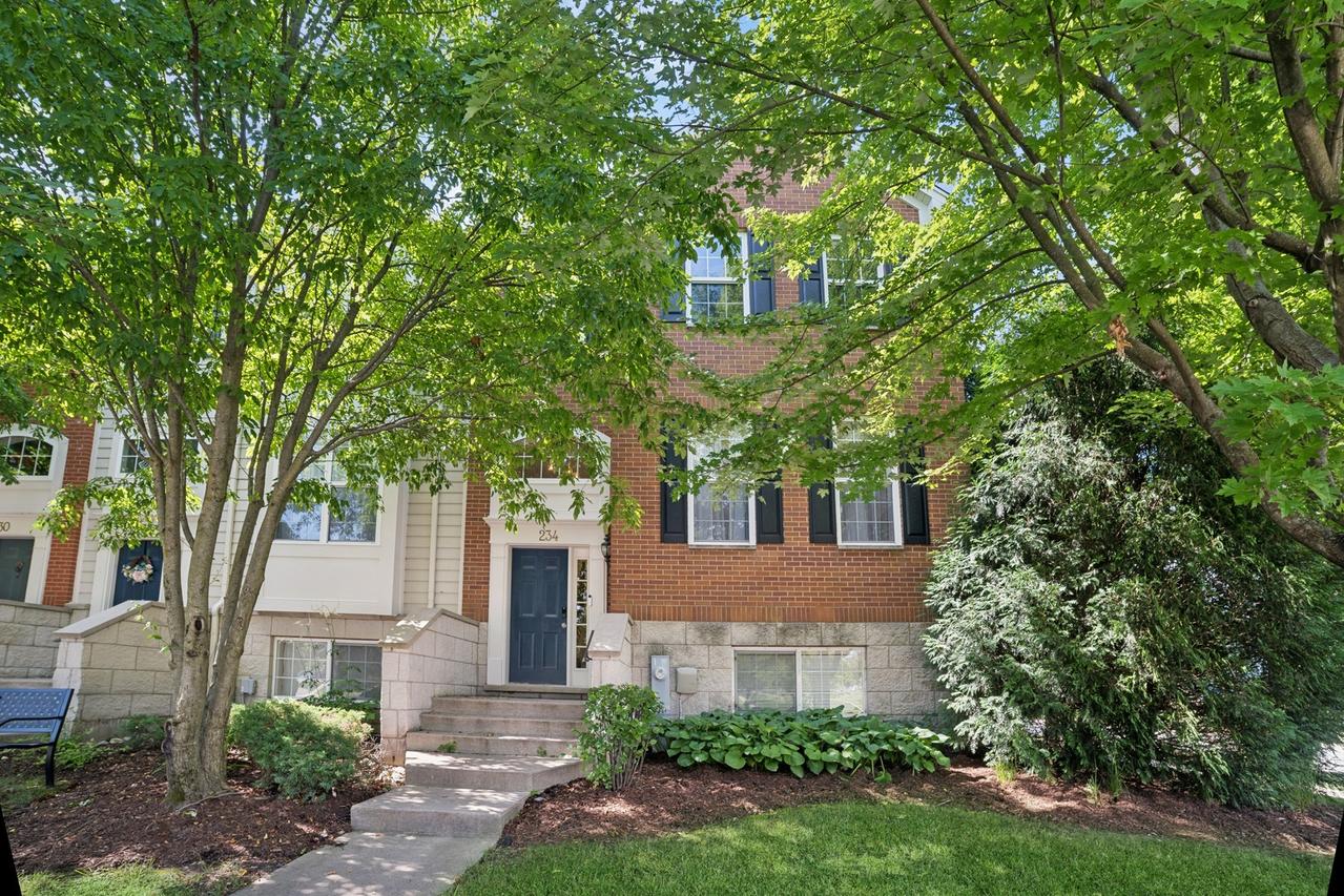 234 Cassidy Ln., Elgin, IL 60124