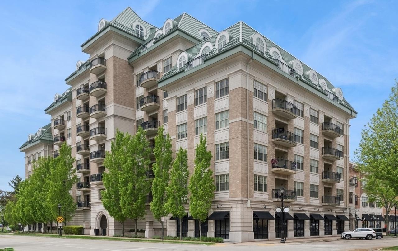 50 N Plum Grove Rd. #202E, Palatine, IL 60067