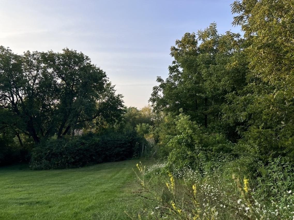 650 George St., Barrington, IL 60010