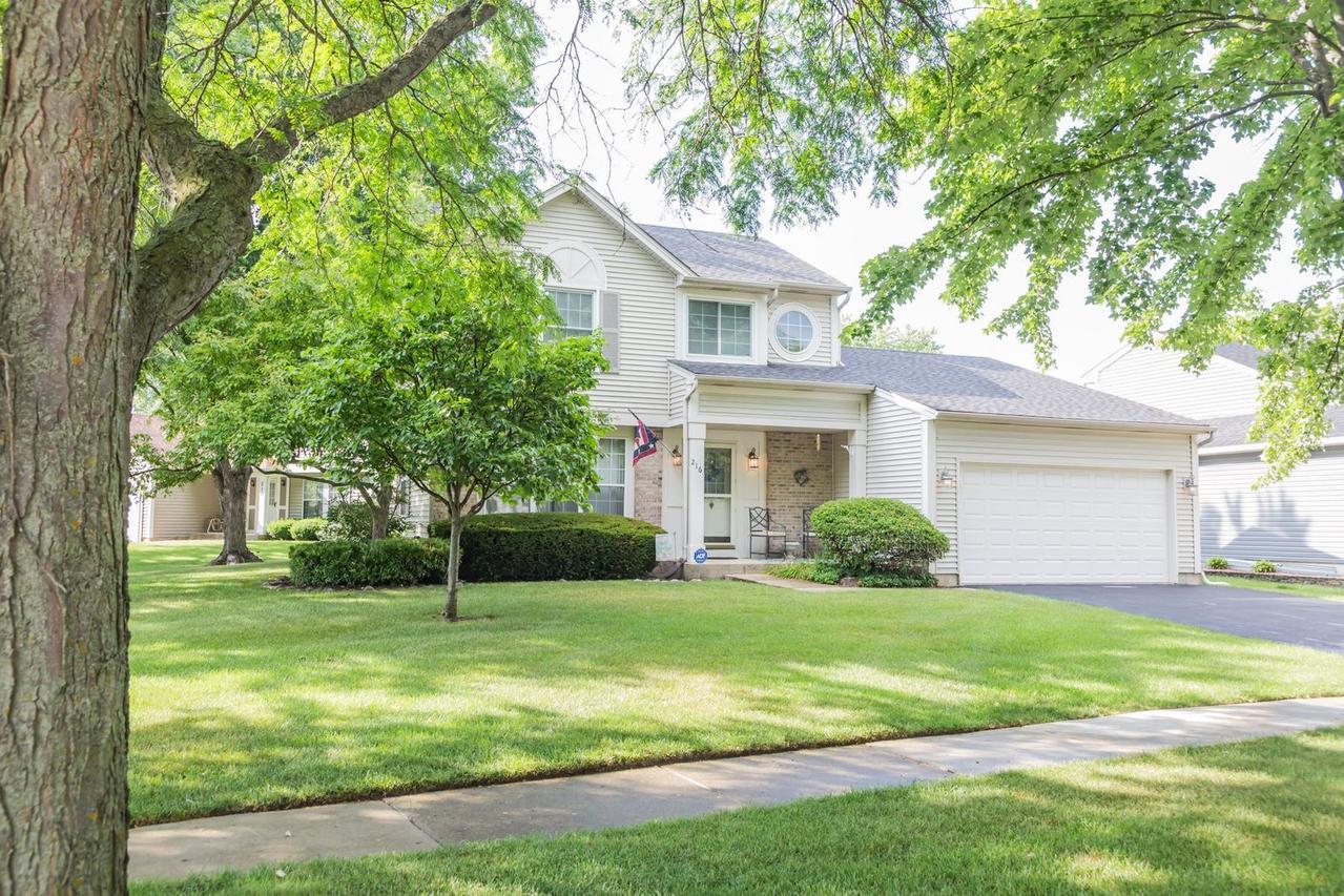 216 Dickens Tr., Elgin, IL 60120
