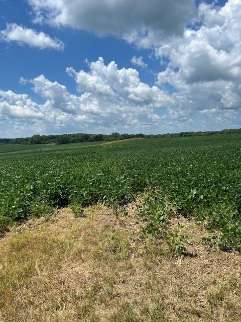 2000 County Rd., Varna, IL 61375