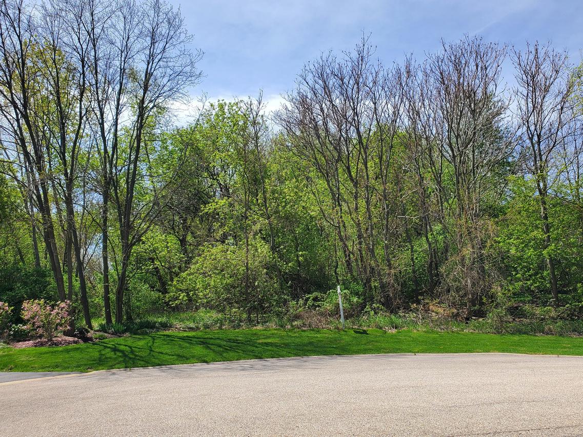 16149 Scenic Ct., Wadsworth, IL 60083