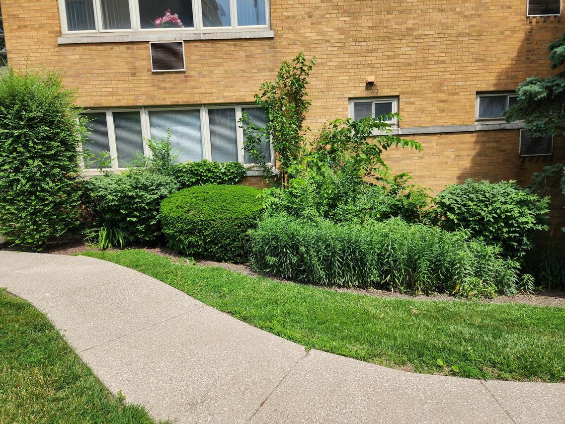 2022 W 111th St. #1S, Chicago, IL 60643