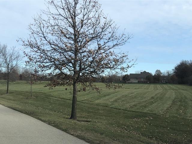 14916 W Concord Ct., Wadsworth, IL 60083