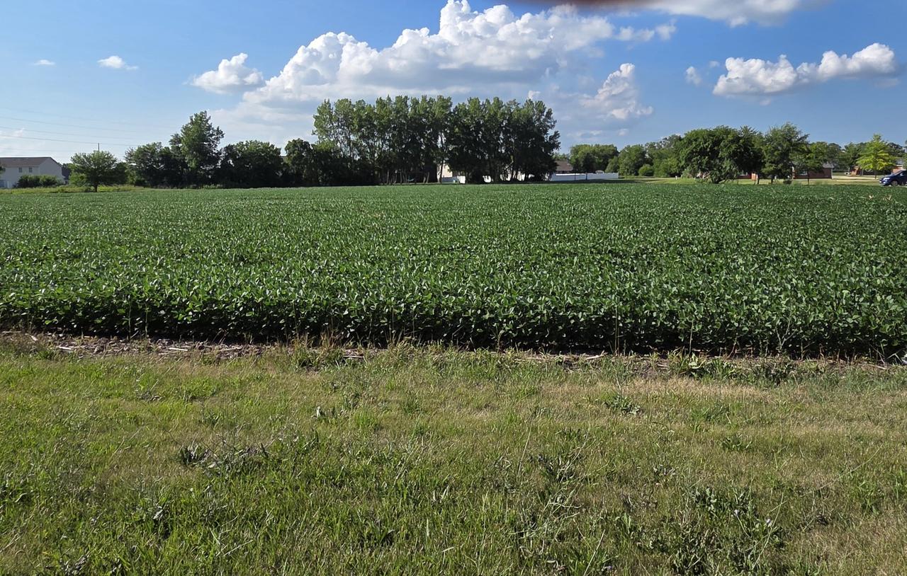 580 W Walnut St., Oglesby, IL 61348