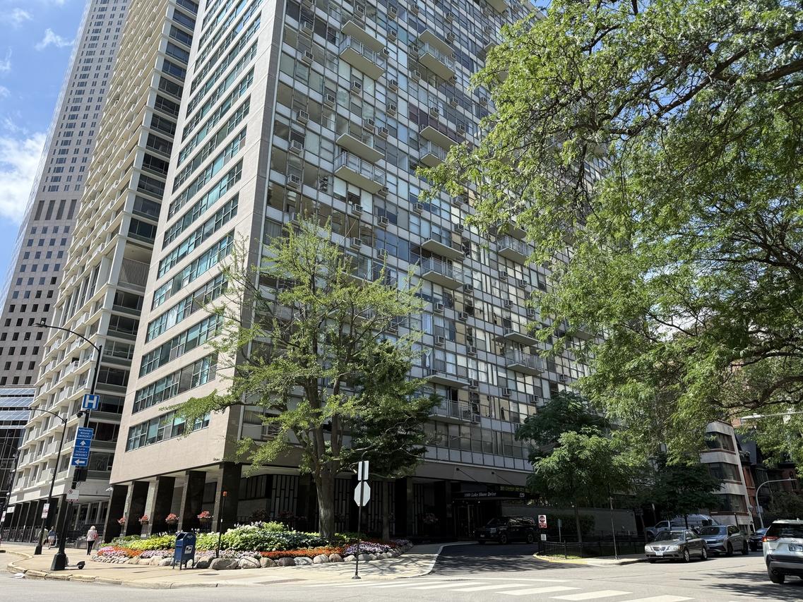 1000 N Lake Shore Dr. #2206, Chicago, IL 60611