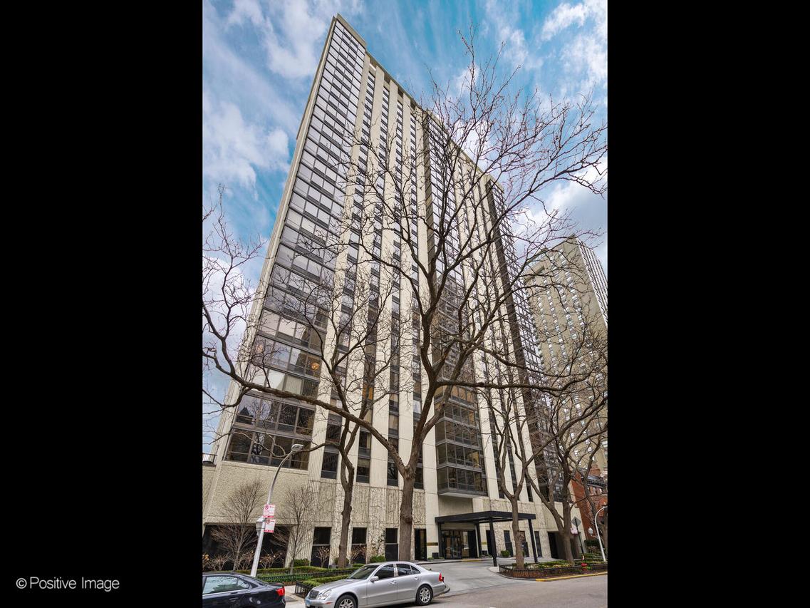 100 E Bellevue Pl. #3E, Chicago, IL 60611