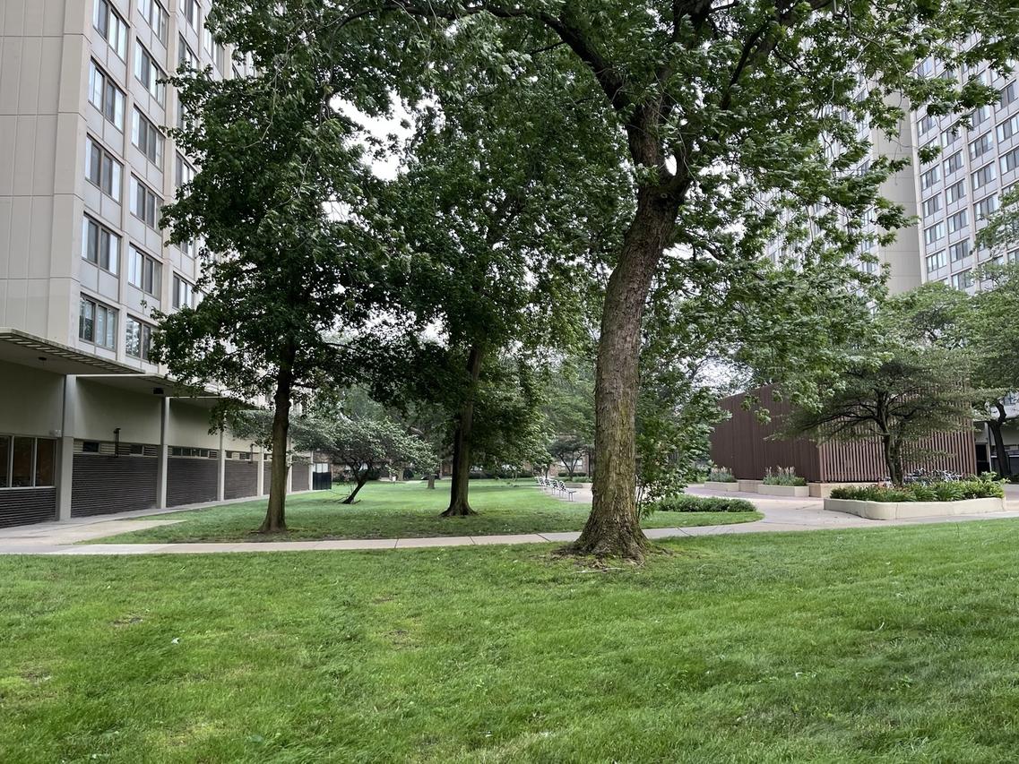 4850 S Lake Park Ave. #1707, Chicago, IL 60615