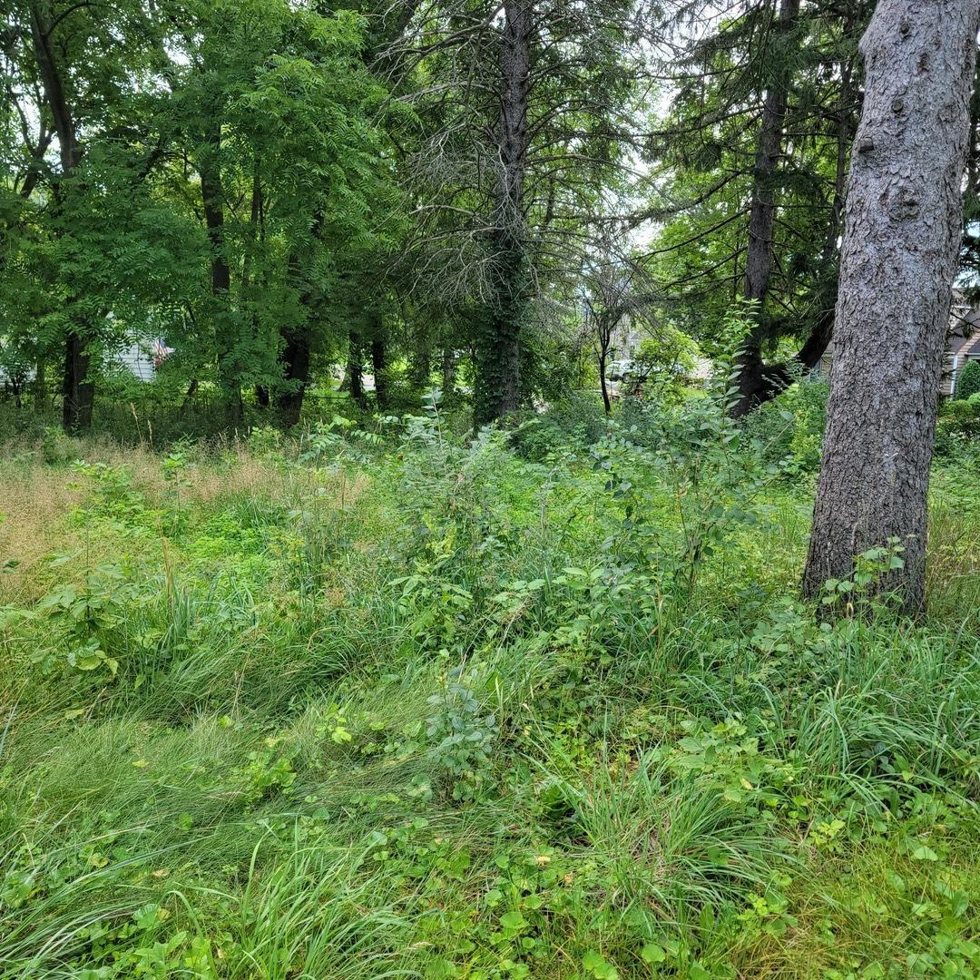 25570 W High St., Wauconda, IL 60084