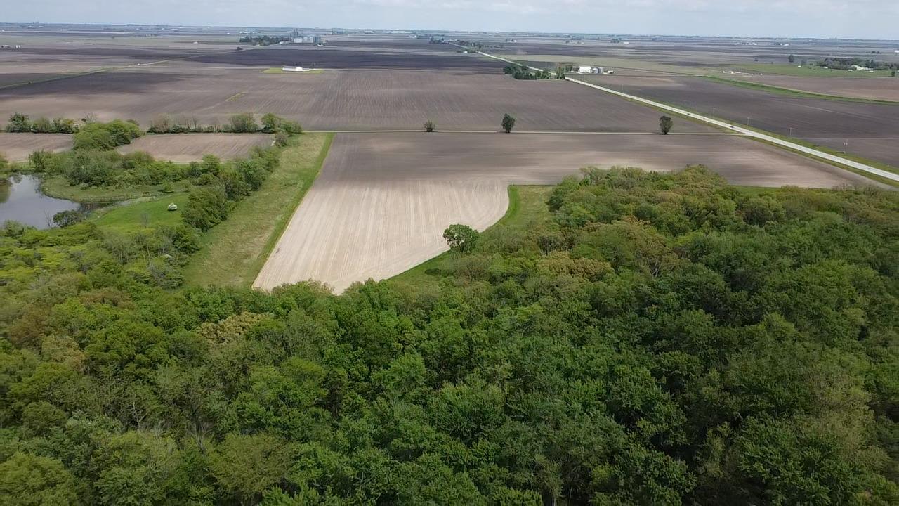 Lot C Highway 136 Hwy., Fisher, IL 61843