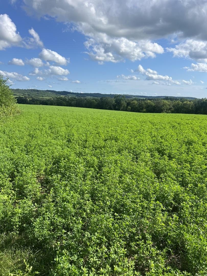 000 S Rush Creek Rd., Stockton, IL 61085