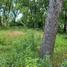 New Homes For Sale This Week in Wauconda: July 18th to July 24th
