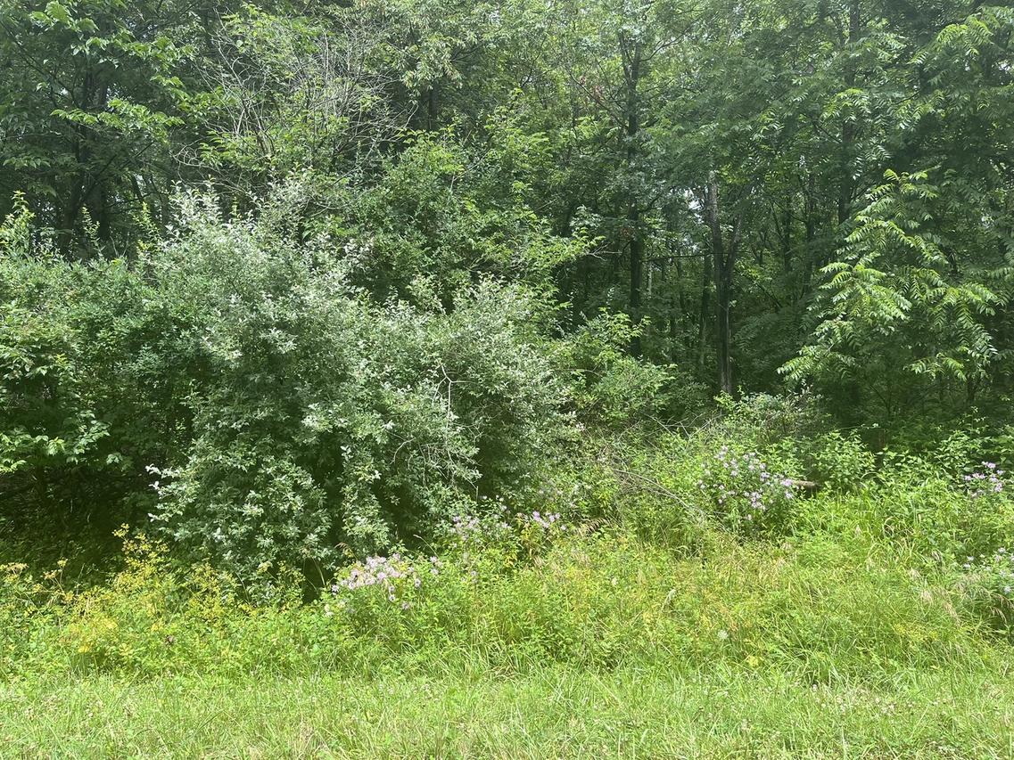 28 Cedar Ln., Putnam, IL 61560