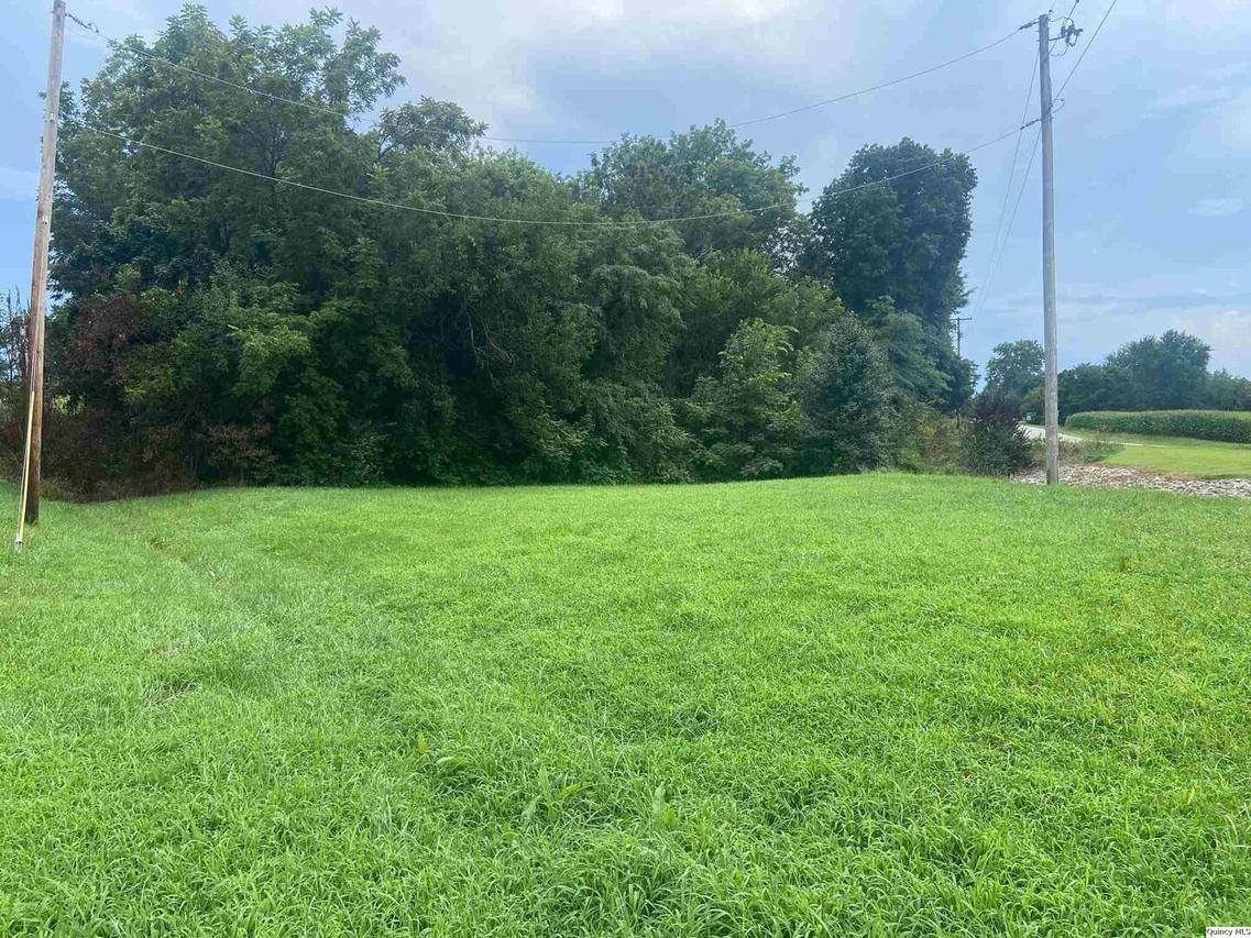 .031 ac m/l E Angle St, Plainville, IL 62365