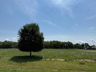 2209 Ann Ln., Woodstock, IL 60098
