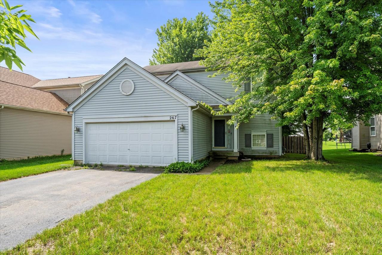 267 Gregory M Sears Dr., Gilberts, IL 60136