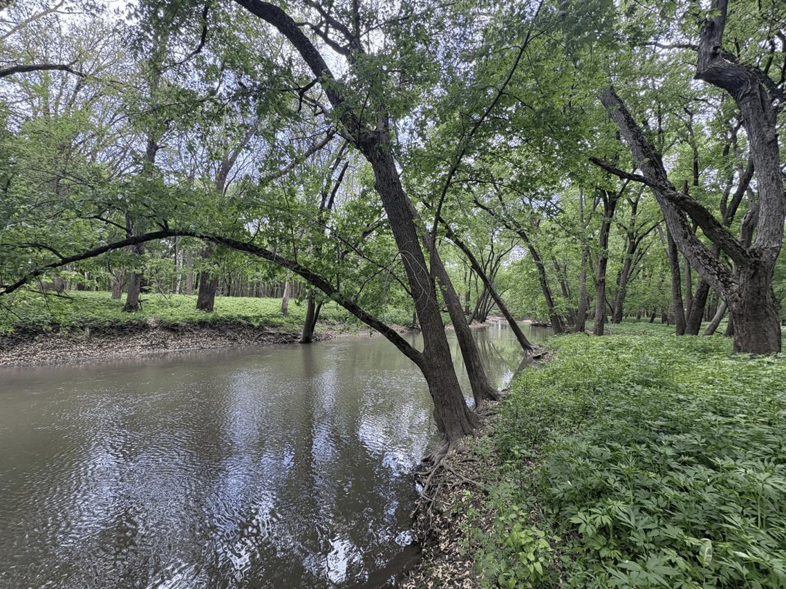 Lot B Hwy 136, Fisher, IL 61843
