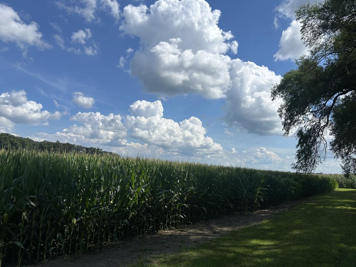 Lot 1 Reinking Rd., Hampshire, IL 60140