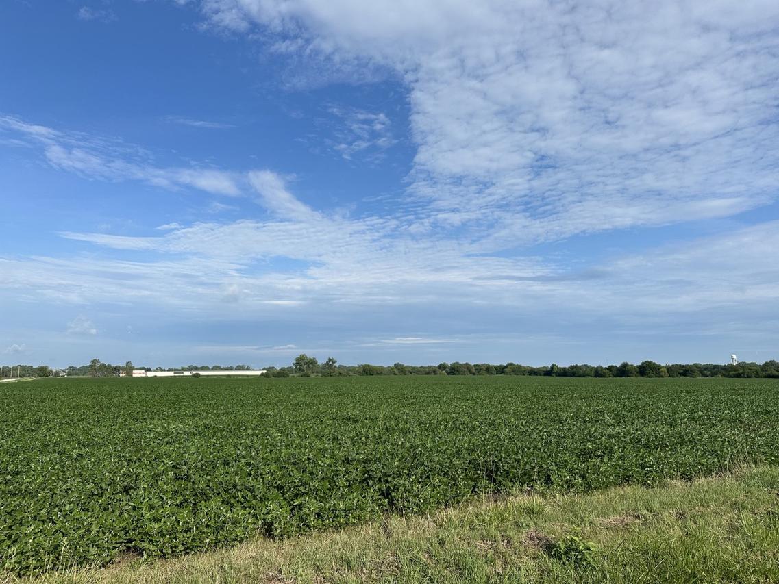 30 Acres Church And Racine Ave., Beecher, IL 60401