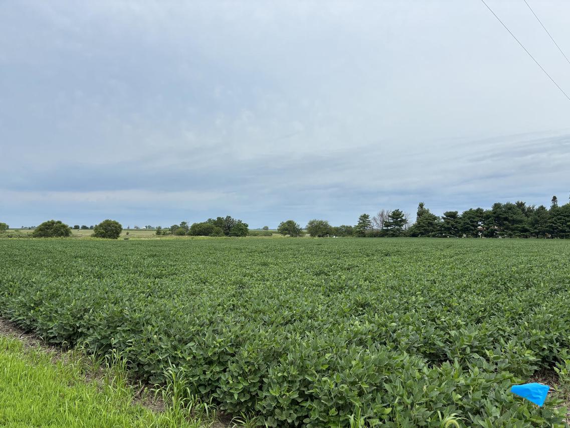3355 County Road 400 E Rd., Fisher, IL 61843