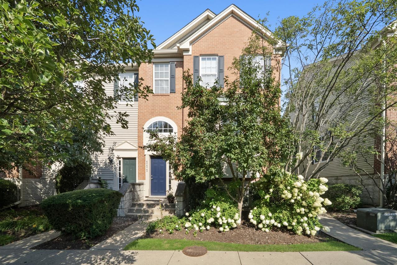 111 Rachel Ave. #406E, Willow Springs, IL 60480