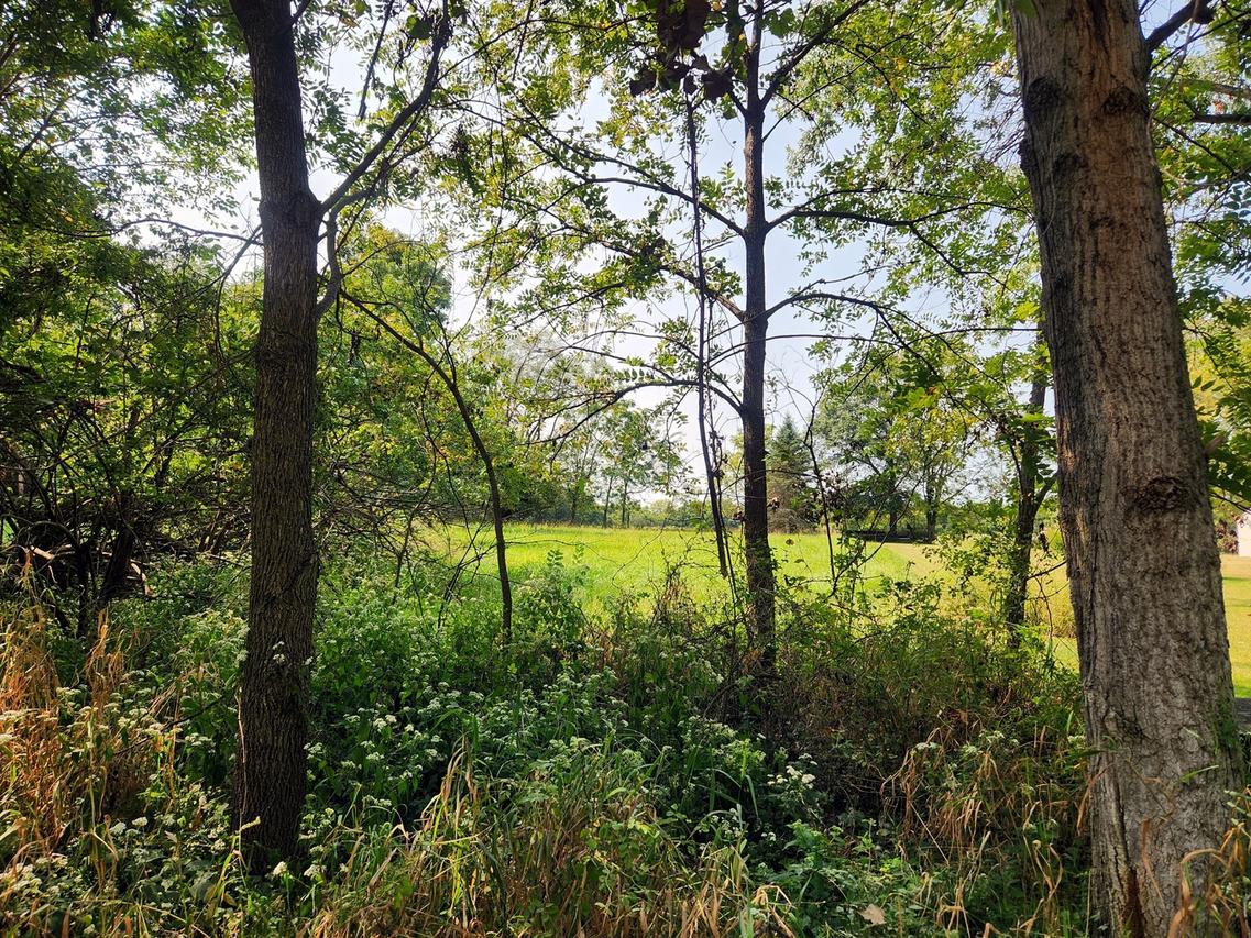 Lot 615 Brookside Dr., Varna, IL 61375