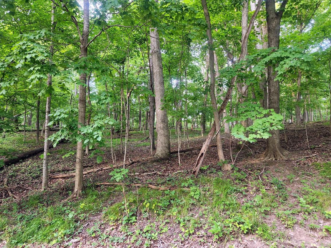Lot 1806 Tanglewood Dr., Varna, IL 61375