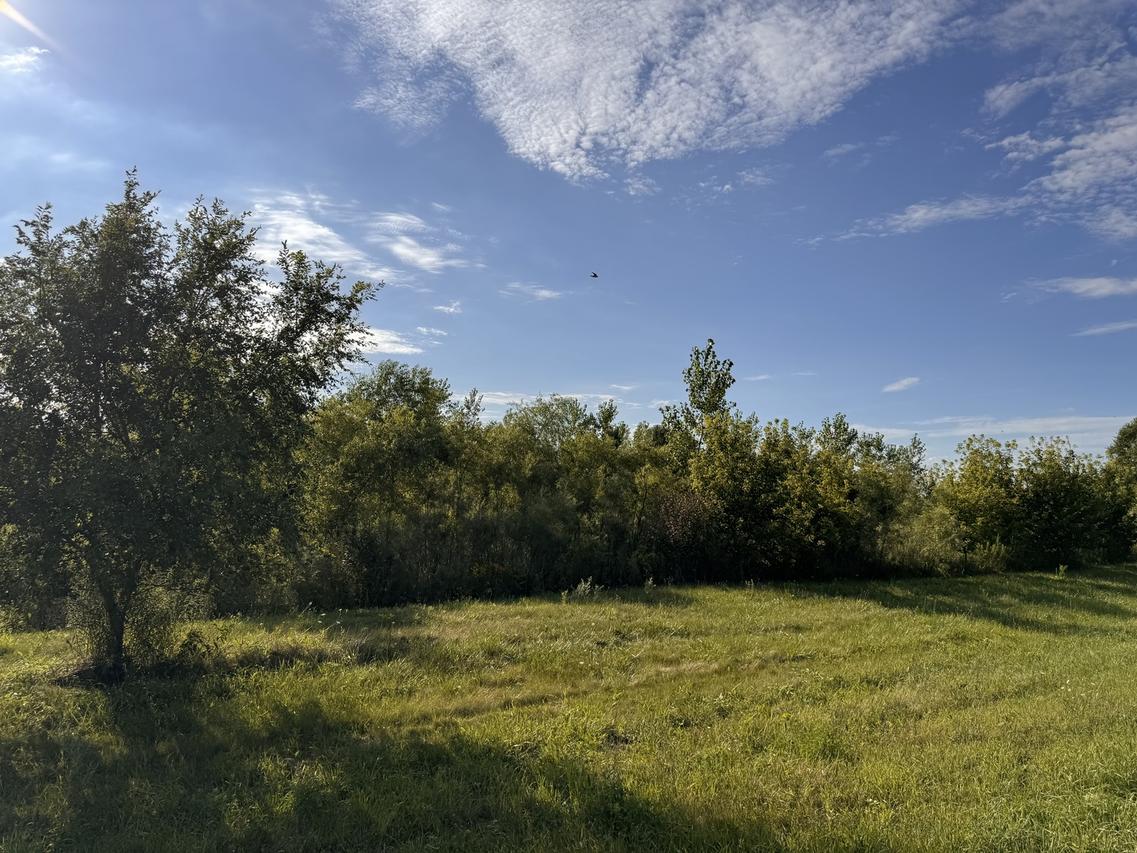 1917 N Queen Anne Rd., Woodstock, IL 60098