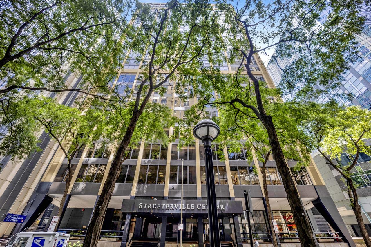 233 E Erie St. #1703, Chicago, IL 60611