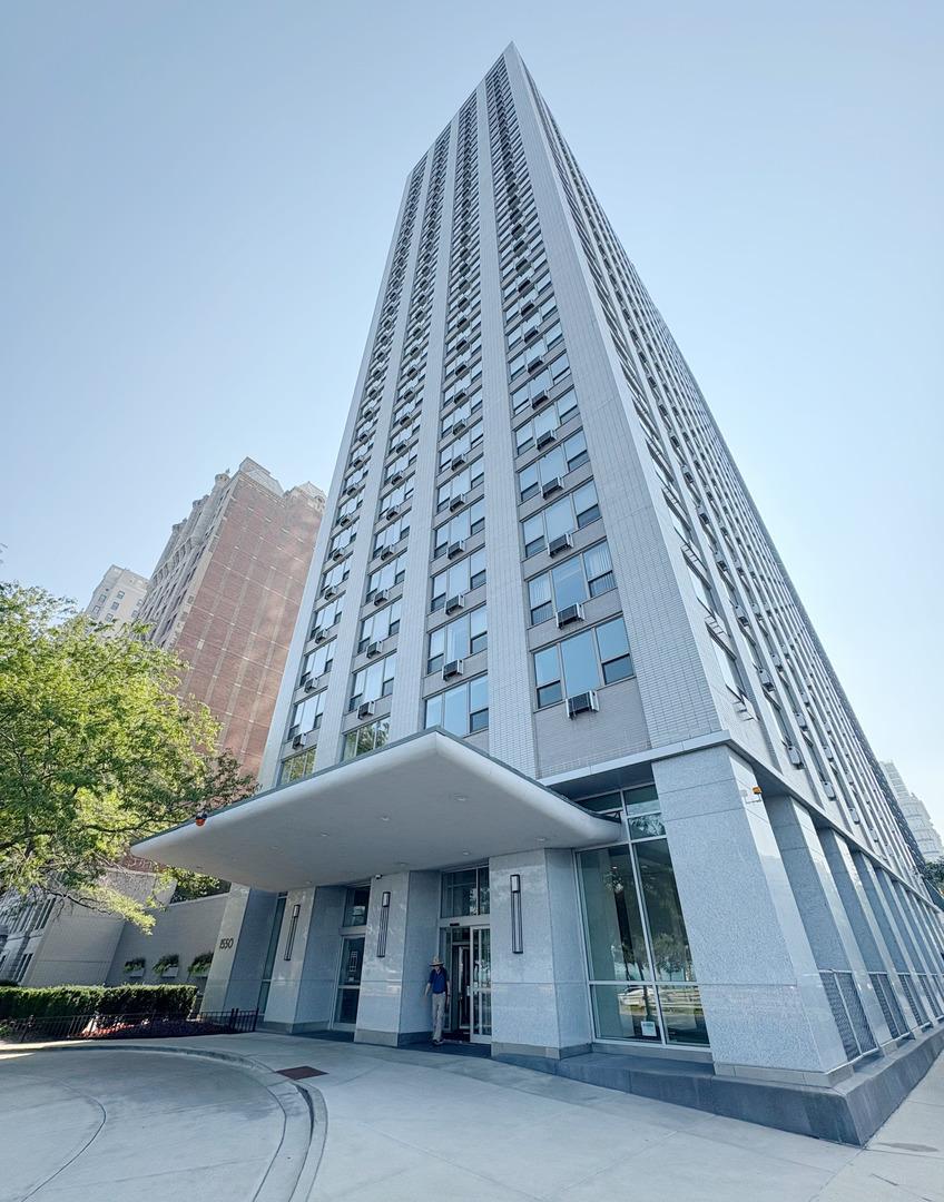 1550 N Lake Shore Dr. #9D, Chicago, IL 60610