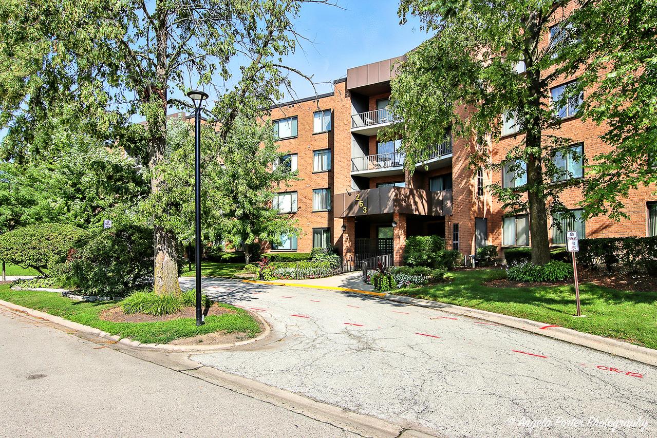 263 S Clubhouse Dr. #104, Palatine, IL 60074