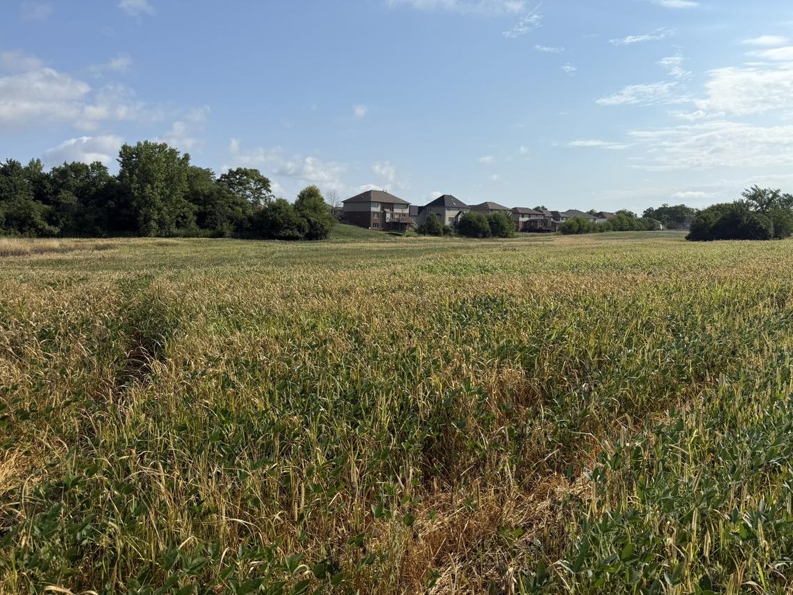 1404 (apx) W Exchange St., Crete, IL 60417
