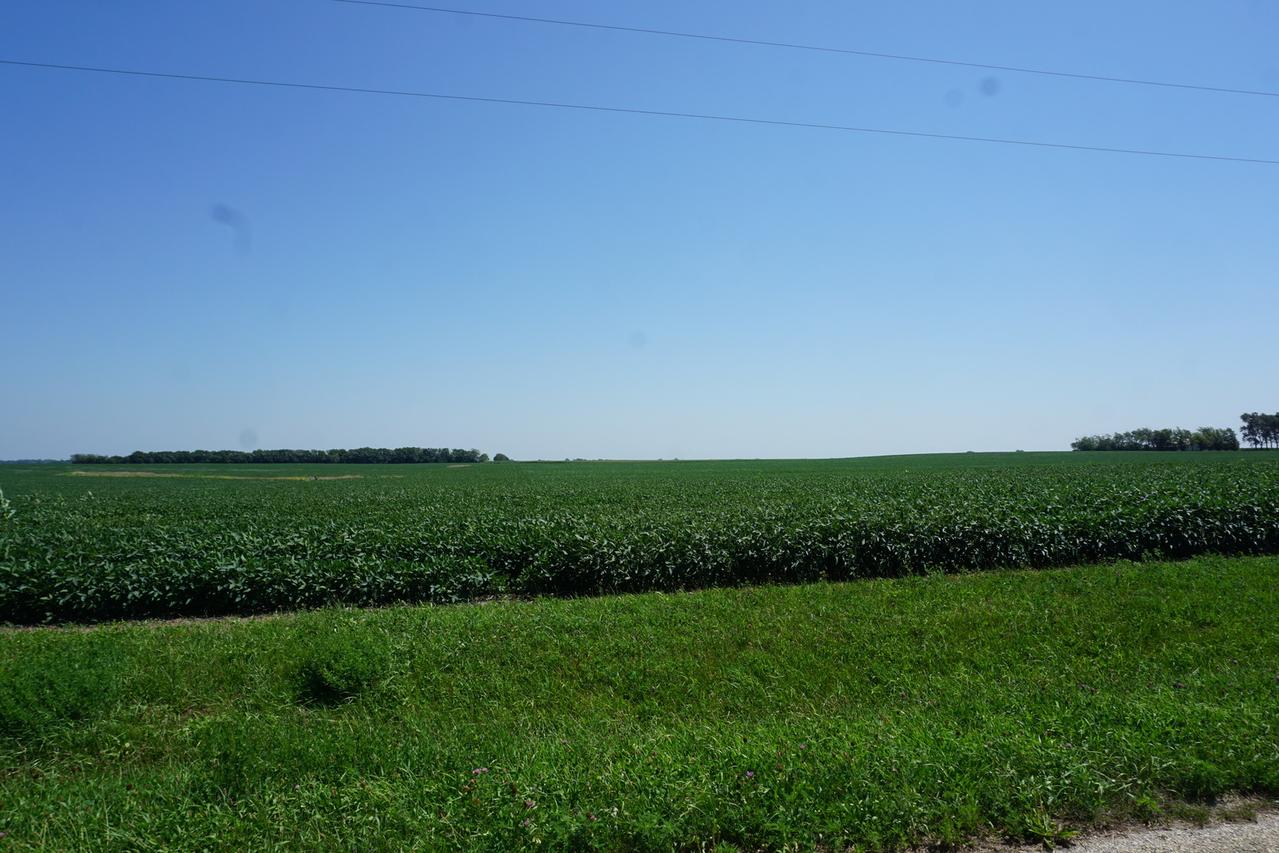 [Address Hidden by Seller], Thawville, IL 60968