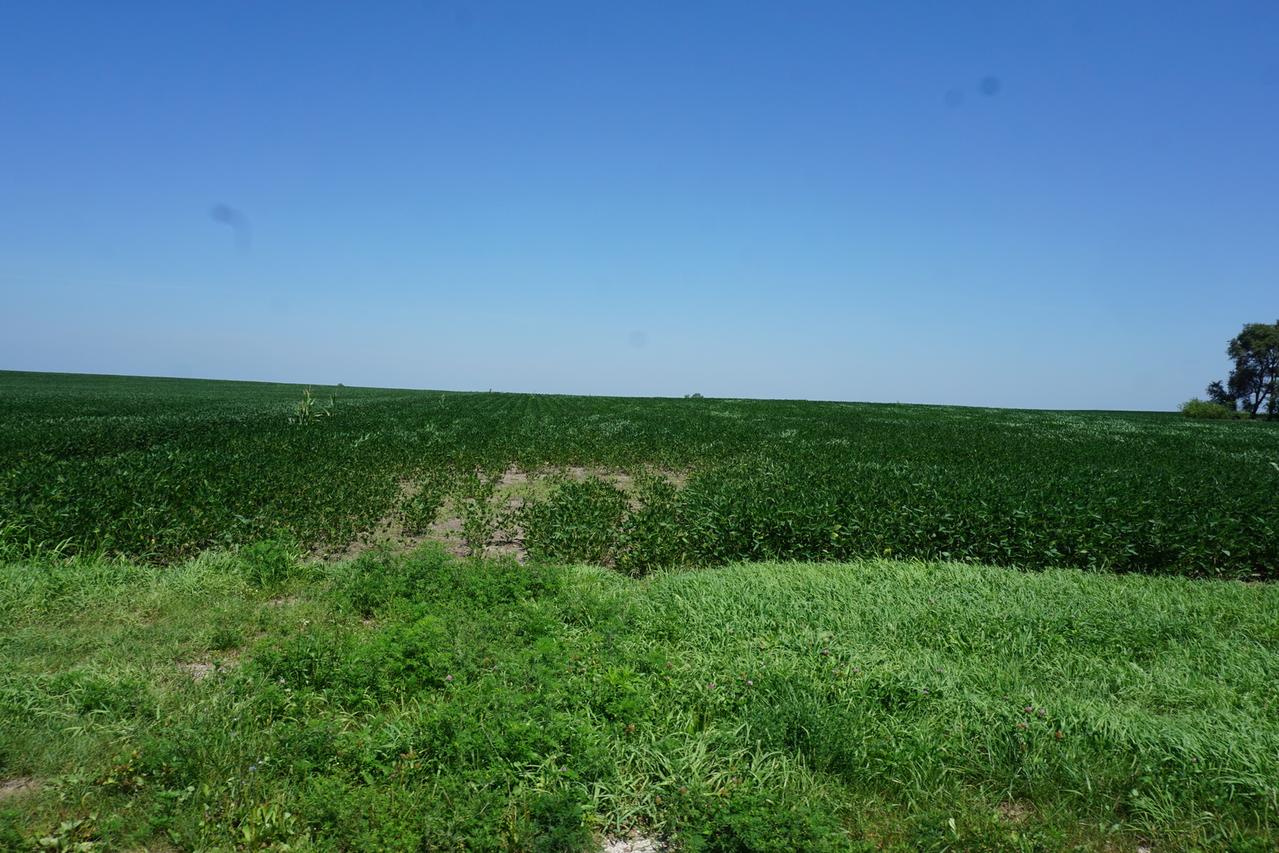 [Address Hidden by Seller], Roberts, IL 60962