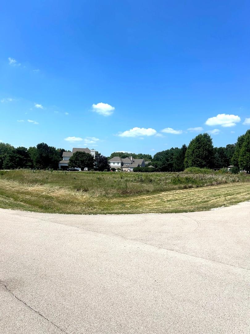 Willow Creek Lot 60 Willow Creek Dr., Elburn, IL 60119