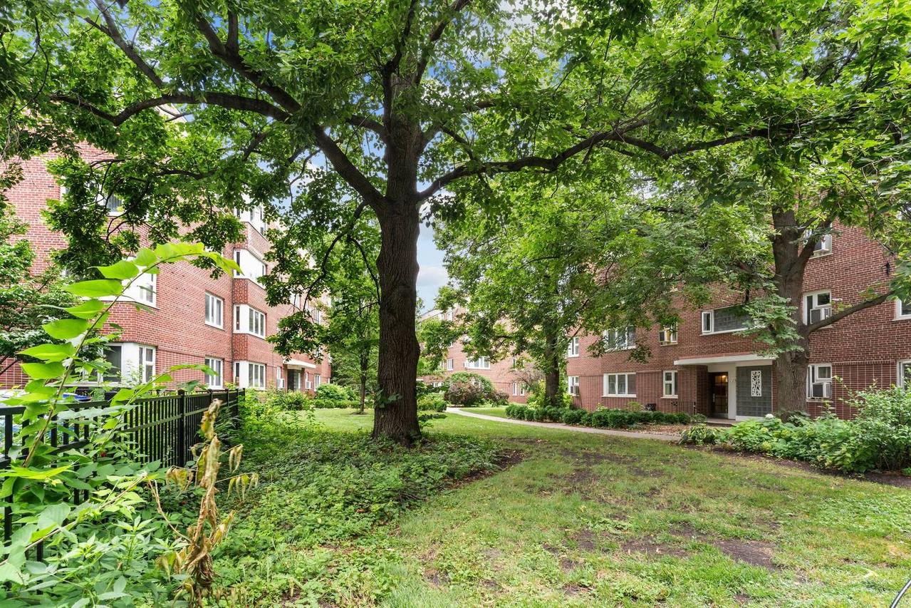 7212 Oak Ave. #3NE, River Forest, IL 60305