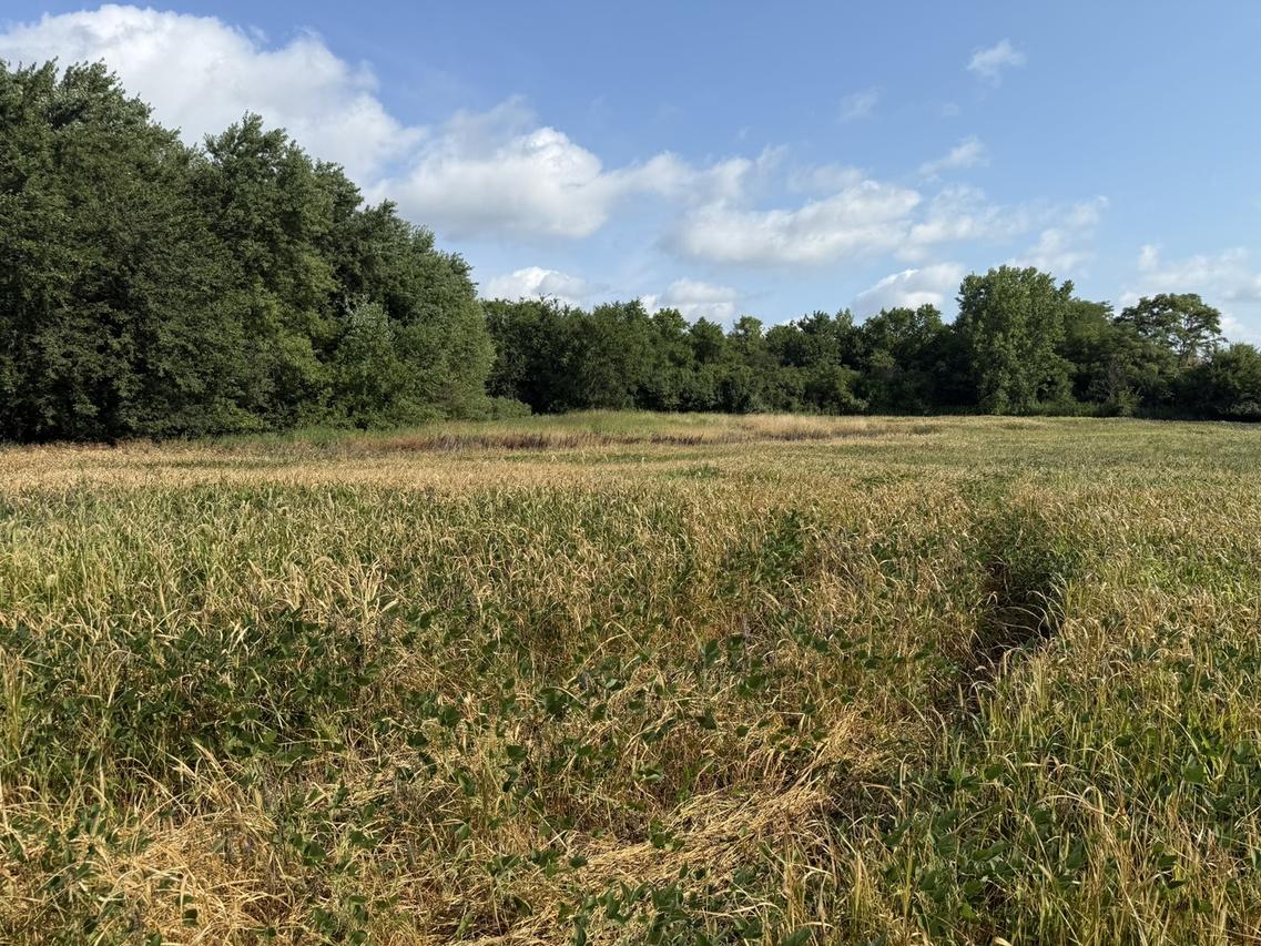 1400 (apx) W Exchange St., Crete, IL 60417